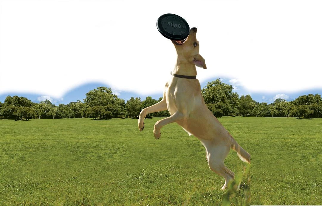 Kong Extreme Flyer 3 Kong Extreme Flyer - Afbeelding 3