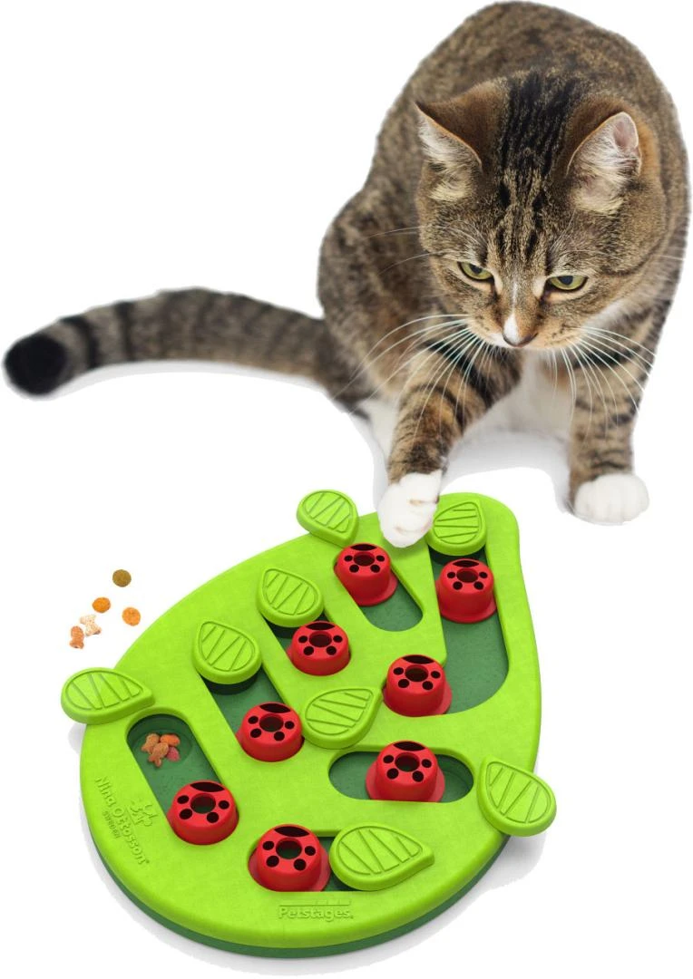Nina Ottosson Puzzle & Play Buggin Out 4 Nina Ottosson Puzzle & Play Buggin Out - Afbeelding 4