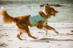 Hurtta Cooling Wrap Aquamarine 5 Hurtta Cooling Wrap Aquamarine -Beste Dierenwinkel 0227271 met hond