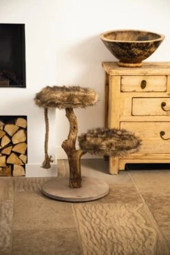 Designed By Lotte Krabpaal Aviva 7 Designed By Lotte Krabpaal Aviva -Beste Dierenwinkel 0408865 sfeer1