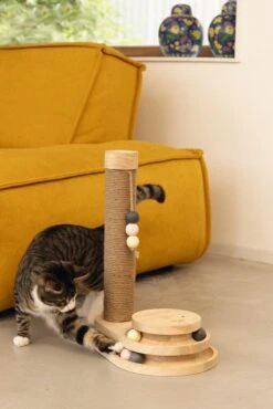 Designed By Lotte Krabpaal Inez -Beste Dierenwinkel 0409150 sfeer1