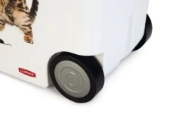 Curver Voedselcontainer Kat 35 Ltr 7 Curver Voedselcontainer Kat 35 Ltr -Beste Dierenwinkel 0412026 det5