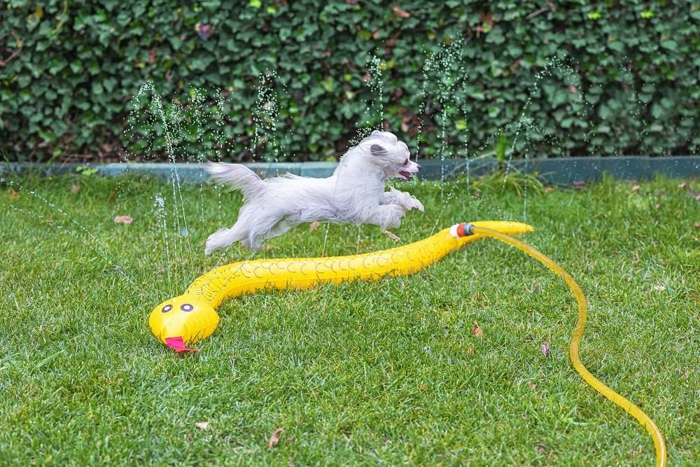 Beeztees Hondenspeelgoed Splashy Snake 4 Beeztees Hondenspeelgoed Splashy Snake - Afbeelding 4