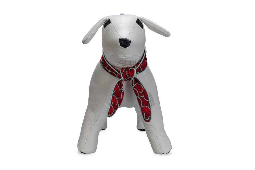 Beeztees Halsband Quick Cooler Meloenie 8 Beeztees Halsband Quick Cooler Meloenie - Afbeelding 8