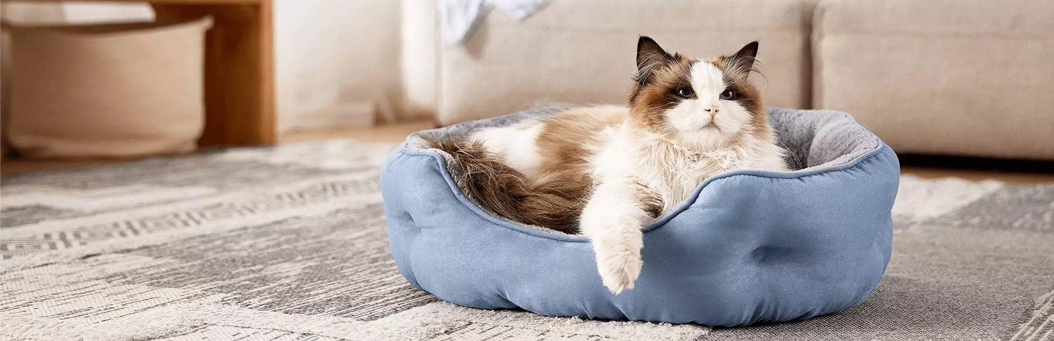 Beste Dierenwinkel -Beste Dierenwinkel 1