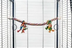 Beeztees Katoenen Papegaaien Zitstok Met Gekleurde Speeltjes.