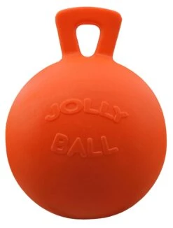 Jolly Ball Met Geur 25 Cm -Beste Dierenwinkel 13270