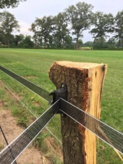 Excellent Isolator Lint Dura-klem Tot 40 Mm 5 Excellent Isolator Lint Dura-klem Tot 40 Mm -Beste Dierenwinkel 17859