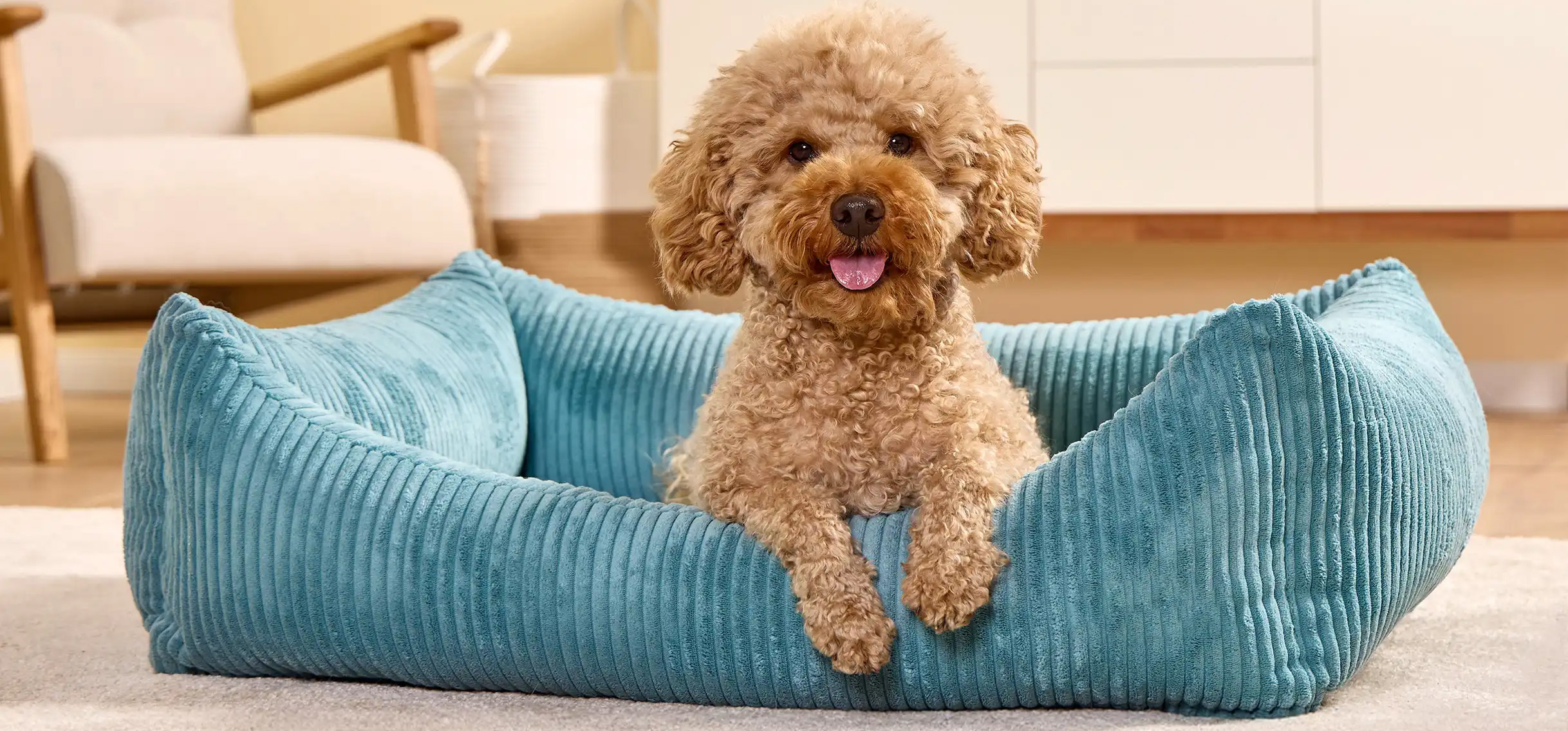 Beste Dierenwinkel -Beste Dierenwinkel 2