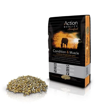 Action Quality Condition & Muscle Bigbox 100 Kg 1 Action Quality Condition & Muscle Bigbox 100 Kg