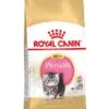 Royal Canin Kattenvoer Persian Kitten 10 Kg