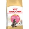 Royal Canin Kattenvoer Maine Coon Kitten 10 Kg