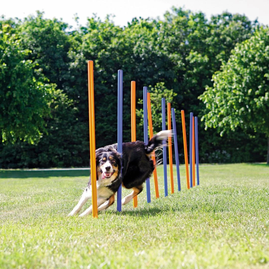TRIXIE Dog Activity Agility Slalom 2 TRIXIE Dog Activity Agility Slalom - Afbeelding 2