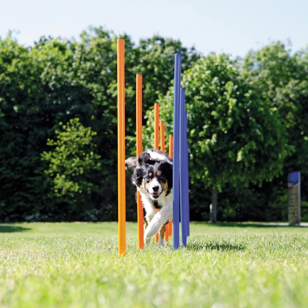 TRIXIE Dog Activity Agility Slalom 1 TRIXIE Dog Activity Agility Slalom