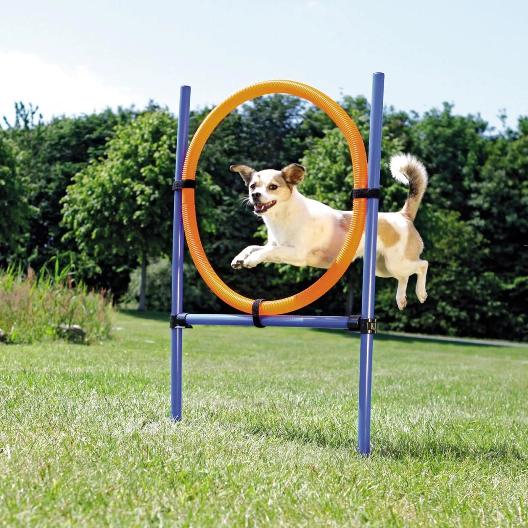 TRIXIE Dog Activity Agility Ring 2 TRIXIE Dog Activity Agility Ring - Afbeelding 2