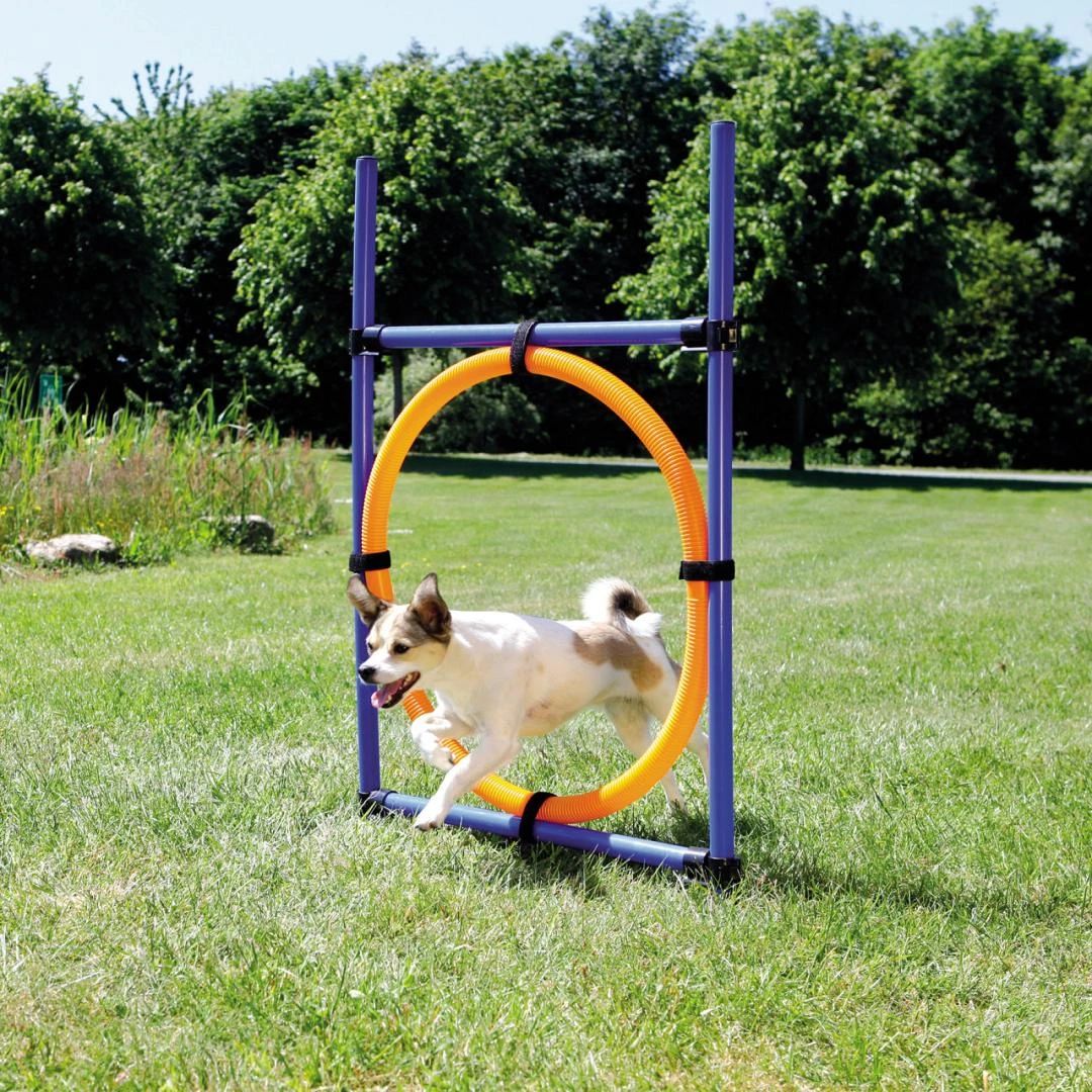TRIXIE Dog Activity Agility Ring 1 TRIXIE Dog Activity Agility Ring