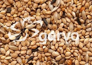 Garvo Tropisch Extra 20 Kg 2 Garvo Tropisch Extra 20 Kg - Afbeelding 2