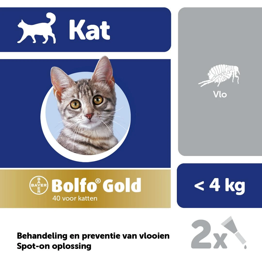 Bolfo Gold Kat 40 2 Pipetten 2 Bolfo Gold Kat 40 2 Pipetten - Afbeelding 2