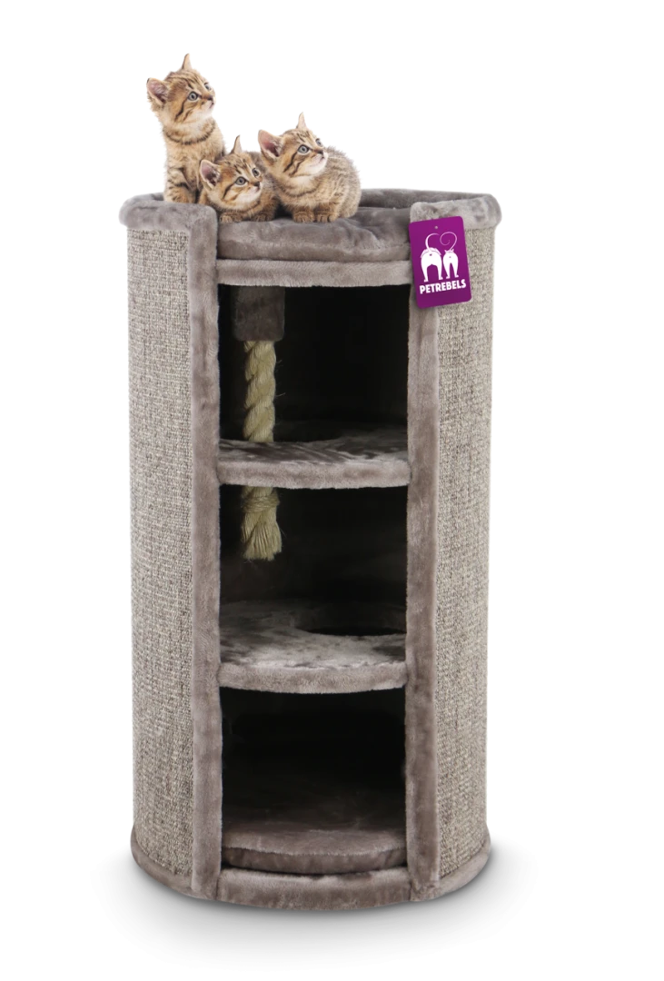 Petrebels Krabton Champions Only Superdome 100 Capp. 2 Petrebels Krabton Champions Only Superdome 100 Capp. - Afbeelding 2