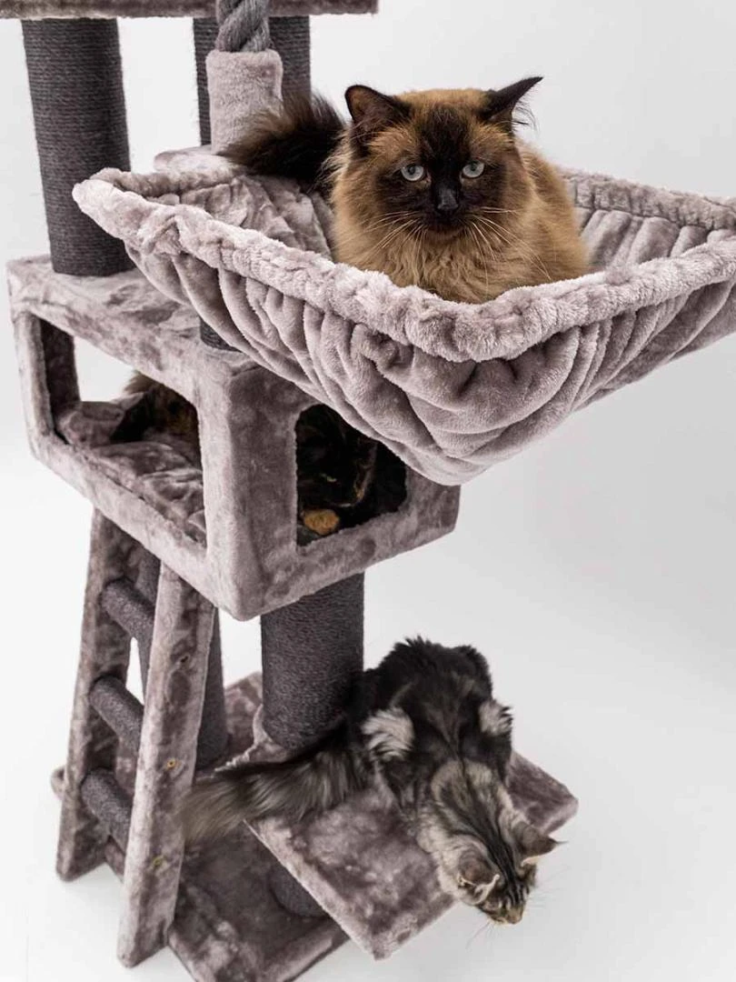 Petrebels Krabmeubel Lucky Bastards Parklane 175 Capp. 2 Petrebels Krabmeubel Lucky Bastards Parklane 175 Capp. - Afbeelding 2