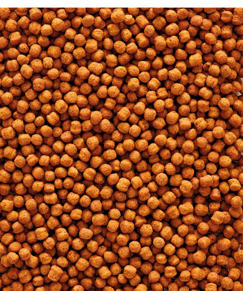 Versele-Laga NutriBird T20 10 Kg 2 Versele-Laga NutriBird T20 10 Kg - Afbeelding 2