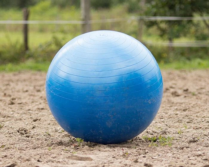 QHP Paardenvoetbal Blauw 80 - 100 Cm 1 QHP Paardenvoetbal Blauw 80 - 100 Cm