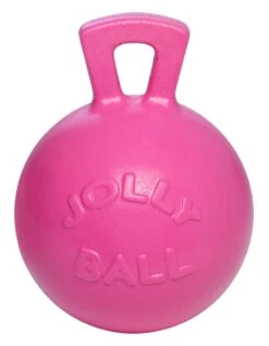 Jolly Ball Met Geur 25 Cm -Beste Dierenwinkel 8170