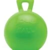 Jolly Ball Met Geur 25 Cm
