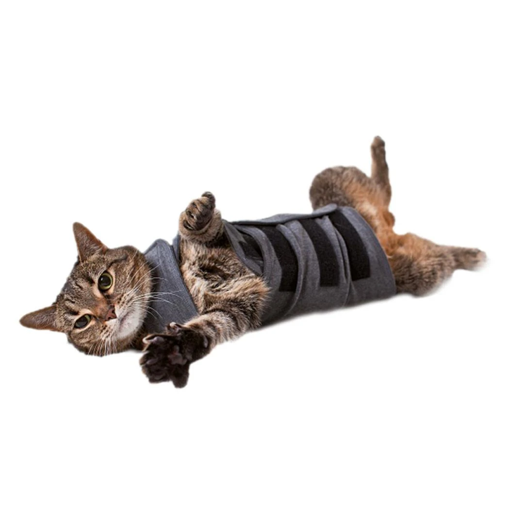 Thundershirt Kat 1 Thundershirt Kat