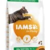 IAMS Kattenvoer Adult Zalm 3 Kg