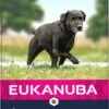 Eukanuba Hondenvoer Caring Senior Large Breed 12 Kg