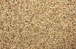 Paddy 25 Kg 5 Paddy 25 Kg -Beste Dierenwinkel 8711447200336 2