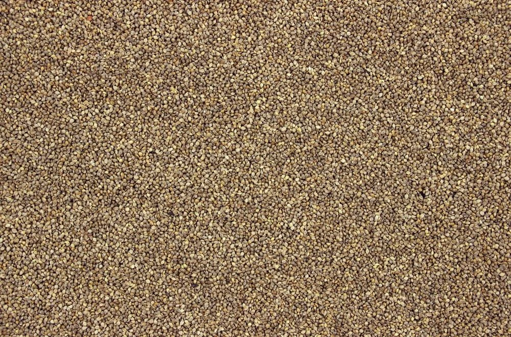 Milletzaad Japans 25 Kg 2 Milletzaad Japans 25 Kg - Afbeelding 2