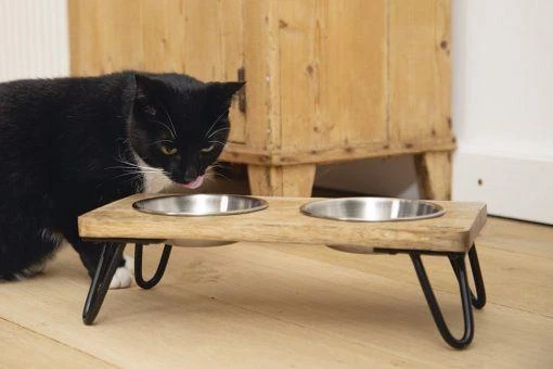 Designed By Lotte Voer- En Drinkbak Linga Bruin 2 Designed By Lotte Voer- En Drinkbak Linga Bruin - Afbeelding 2