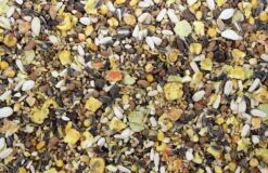 Papegaaienvoer Pepers 15 Kg 5 Papegaaienvoer Pepers 15 Kg -Beste Dierenwinkel 8715207005544 2