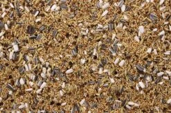 Grote Parkiet - Valkparkiet 20 Kg 5 Grote Parkiet - Valkparkiet 20 Kg -Beste Dierenwinkel 8715207100218 2