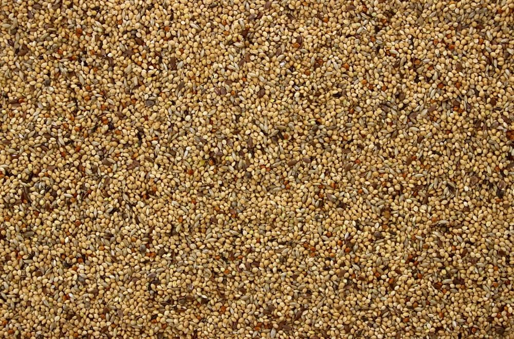 Tropischzaad I 20 Kg 3 Tropischzaad I 20 Kg - Afbeelding 3