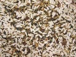 Papegaaienvoer Speciaal 20 Kg -Beste Dierenwinkel 8715207100577 2