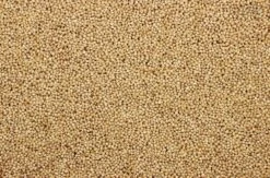 Milletzaad Wit 20 Kg -Beste Dierenwinkel 8715207101130 2