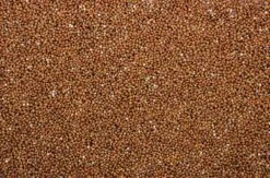 Milletzaad Rood 20 Kg 5 Milletzaad Rood 20 Kg -Beste Dierenwinkel 8715207101147 2