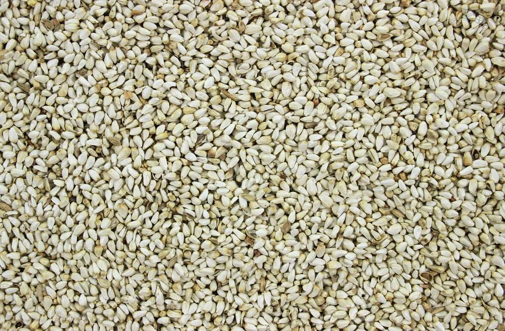 Safloorpitten - Kardizaad 17,5 Kg 3 Safloorpitten - Kardizaad 17,5 Kg - Afbeelding 3