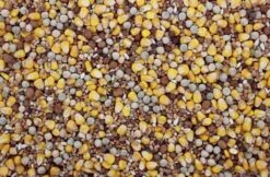 Populair Duivenvoer 20 Kg 5 Populair Duivenvoer 20 Kg -Beste Dierenwinkel 8715207200819 2