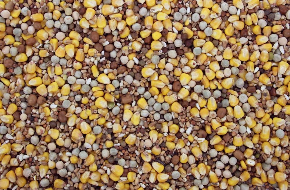 Populair Duivenvoer 20 Kg 3 Populair Duivenvoer 20 Kg - Afbeelding 3