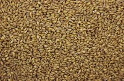 Gerst I 20 Kg 5 Gerst I 20 Kg -Beste Dierenwinkel 8715207200918 2