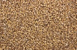 Tarwe 20 Kg -Beste Dierenwinkel 8715207201014 2