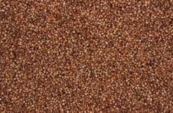 Dari Rood 20 Kg 5 Dari Rood 20 Kg -Beste Dierenwinkel 8715207201328 2