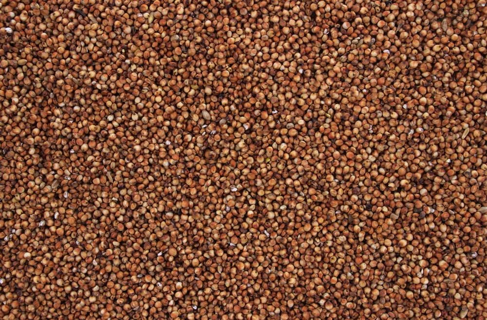 Dari Rood 20 Kg 3 Dari Rood 20 Kg - Afbeelding 3