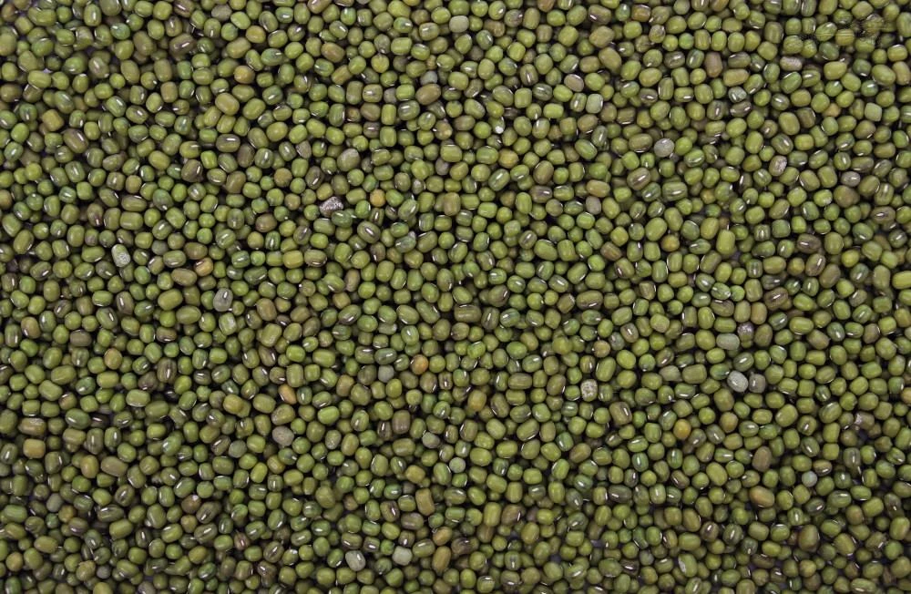 Katjang Idjoe 25 Kg 2 Katjang Idjoe 25 Kg - Afbeelding 2