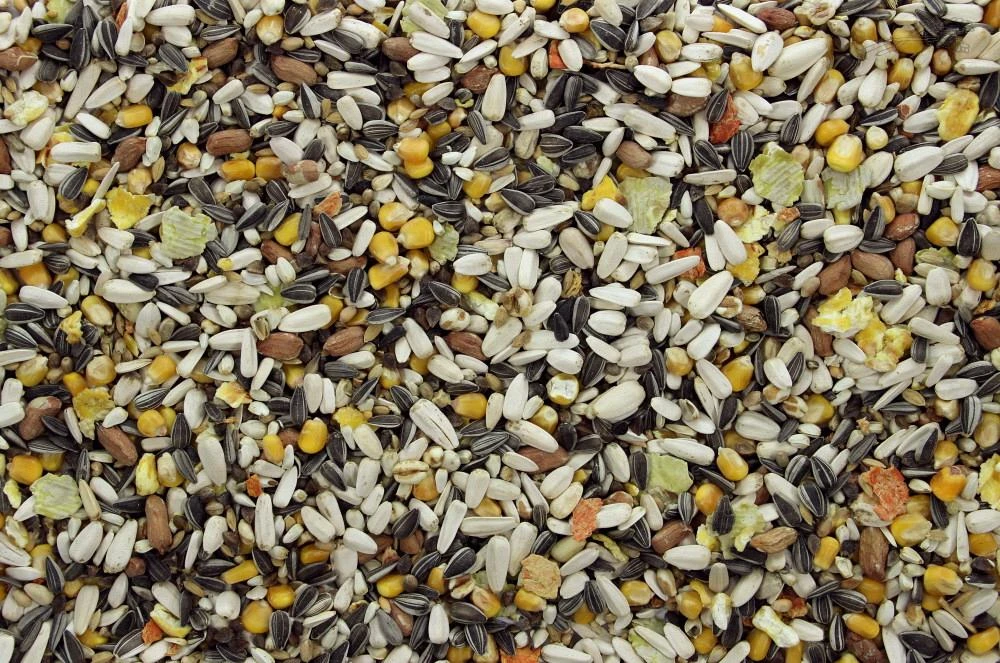 Papegaaienvoer I 3 Kg 2 Papegaaienvoer I 3 Kg - Afbeelding 2