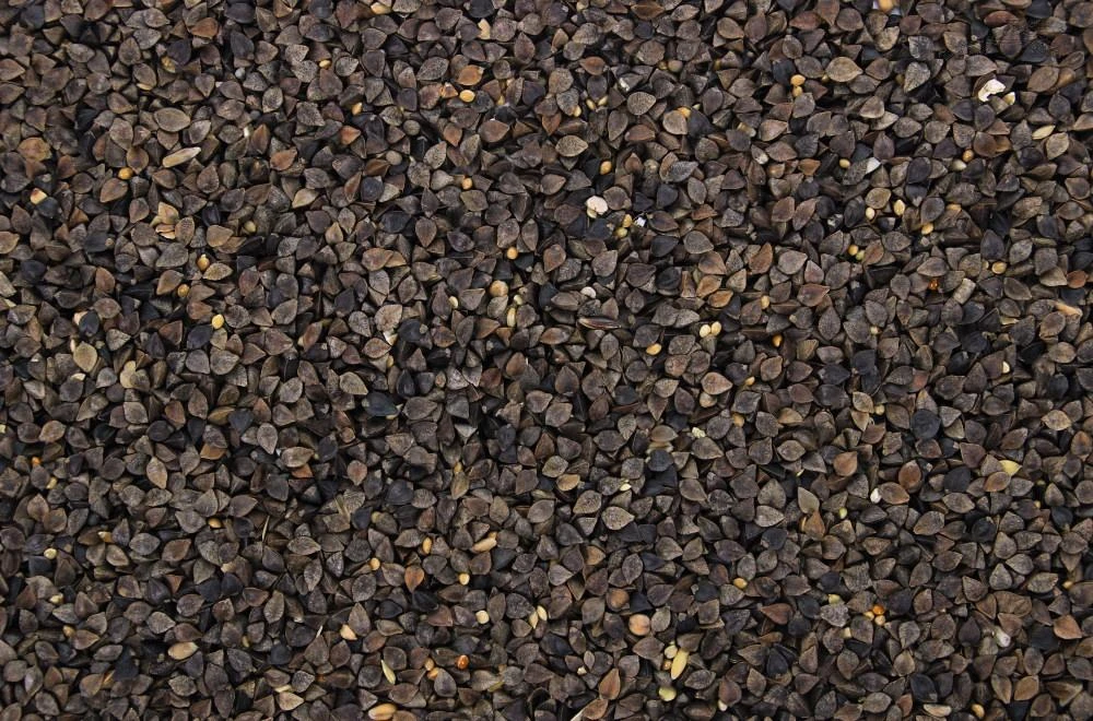 Boekweit 4,5 Kg 2 Boekweit 4,5 Kg - Afbeelding 2